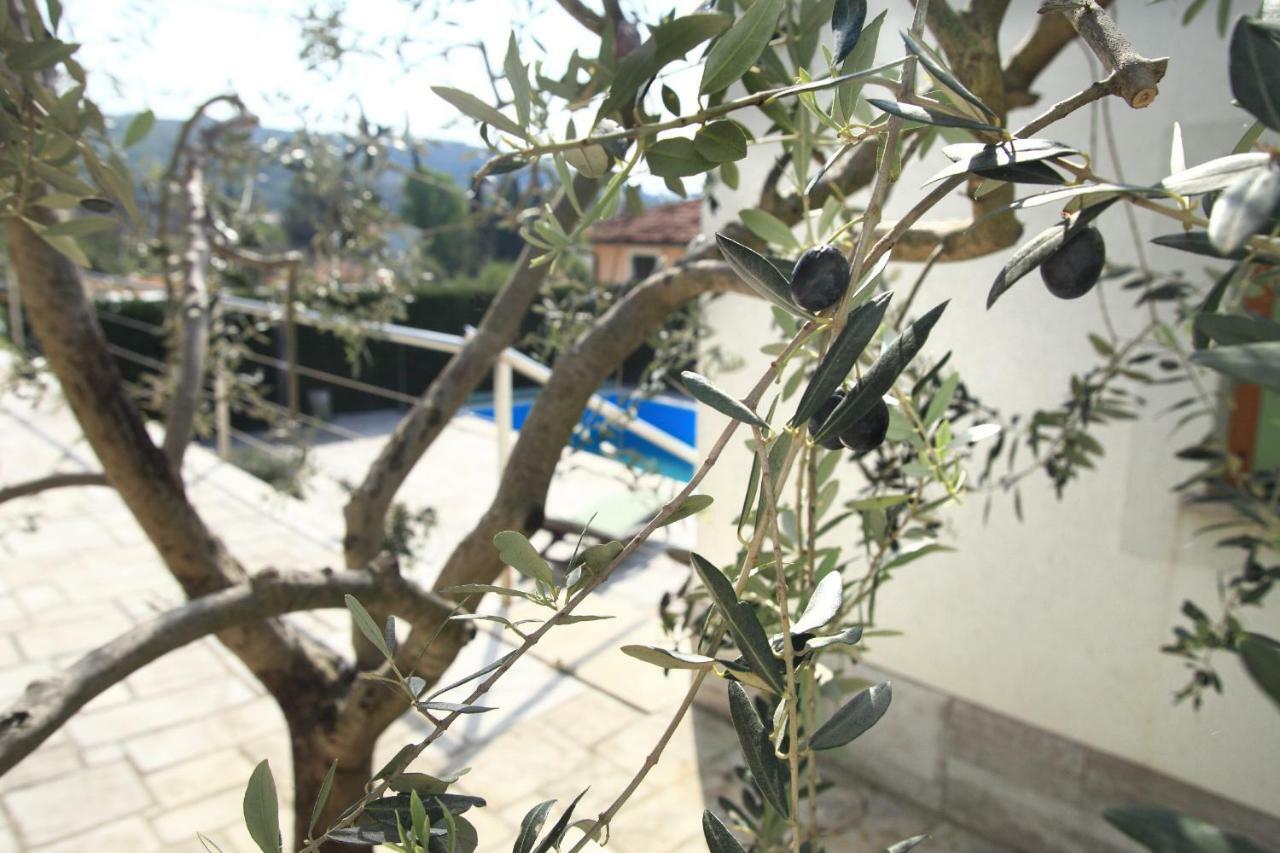 Spacious Villa In Parecag With A Swimming Pool Secovlje Exterior photo